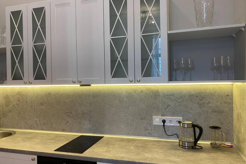 Apartament Hidden Gem With Its Own Private Entry At Lypky Kijów Zewnętrze zdjęcie